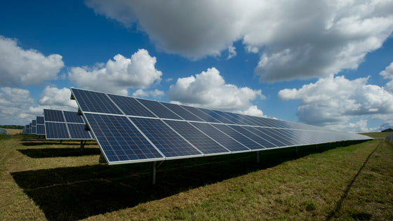 Rows of solar panels in a sunny grassy field under a blue sky