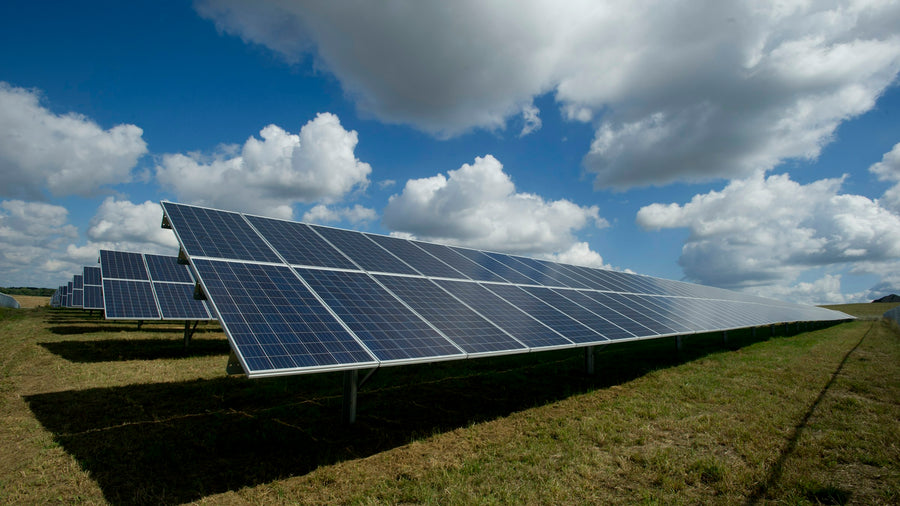 Rows of solar panels in a sunny grassy field under a blue sky