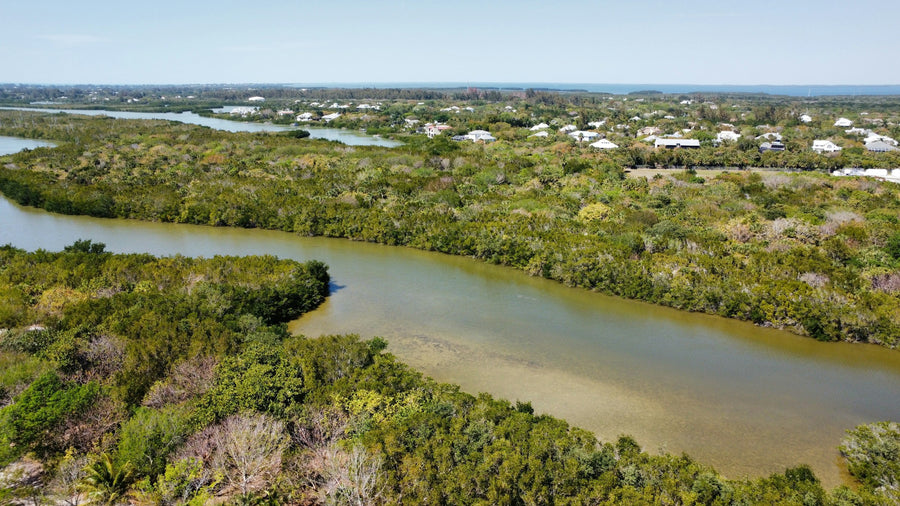 Aerial view of a Cape Coral waterway winding through mangroves, with homes along the far shore